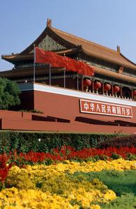 政府场景